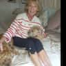 House sit pet parent - Two loveable Border Terriers in the Tipperary countryside