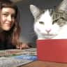 House sit pet parent - Pepper’s Pad