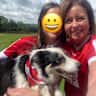 House sit pet parent - Doggy companion wanted in the beautiful west cork countryside