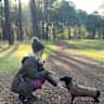 House sit pet parent - Snuggly Dachshund Dog Sit