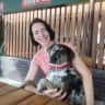 House sit pet parent - Nice house with a garden and two dogs.