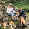 House sit pet parent - Beagle Dogs Sit in Lovely Barn Conversion in North Yorkshire