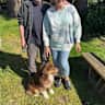 House sit pet parent - Sunset Bay Views near the lovely Victorian Seaport Village of Port Townsend