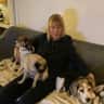 House sit pet parent - Susan Eftyhiou, happy mother of Nellie and Molly.  We live in Nicosia Cyprus