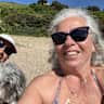 House sit pet parent - Site seeing in Dartmouth with Pipa. Our dog knows all the best spots.