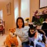 House sit pet parent - Looking for a responsible sitter to look after one friendly Shiba Inu