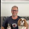 House sit pet parent - Pet lover(s) required for Eric & Luna (Cavs), Tiffy & Toffee (Cats)