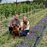 House sit pet parent - A charming Cotswolds Country House with vineyard views