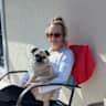 House sit pet parent - Gulf Coast of Florida Townhome with Pug