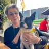 House sit pet parent - Sitters wanted for 5 well behaved Boston Terriers.
