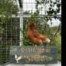 House sit pet parent - Algarve country house, near town, beaches and mountains!