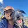 House sit pet parent - Dog sitting near Greenwich Park
