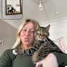 House sit pet parent - Summer in Berlin with Arthur the Cat – Cozy Flat & Great Location!
