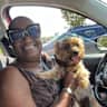 House sit pet parent - Enjoy nearby Tax-free shopping  & Silky Yorkie paradise with Precious