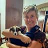 House sit pet parent - Peaceful home & garden, mountain views & adorable jack russell puppy in Portugal