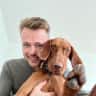 House sit pet parent - Brownie is looking for a nice dogsitter!