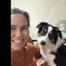 House sit pet parent - House and dog sit in leafy Carindale, close to shops, buses and paths!