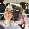 House sit pet parent - Looking for a reliable sitter to care for our Staffy girl, Miley