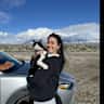 House sit pet parent - Explore NYC While Caring for a Sweet Low Maintenance Cat
