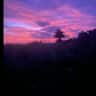 House sit pet parent - Come explore and enjoy the beautiful midlands of Ireland.