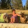 House sit pet parent - Rural acreage 5 minutes from downtown with views of Rocky Mountains