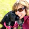 House sit pet parent - House and dog sit in beautiful Blaine, Washington