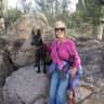 House sit pet parent - Home on 3.5 acres with panoramic views in Tucson, AZ