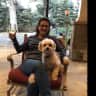 House sit pet parent - House/dog sitter needed in well-appointed modern home