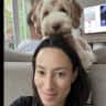 House sit pet parent - Wonderful dog looking for company in beautiful, leafy Surrey