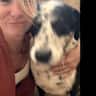 House sit pet parent - Hier ist alles was das Herz begehrt. Frag mich einfach