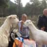 House sit pet parent - Fancy a little mountain vacation! in spectacular surroundings?