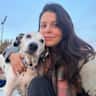 House sit pet parent - Stay with la señora Zelda, your new favourite dalmatian in Barcelona!