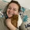 House sit pet parent - Bright and spacious Edinburgh flat with two guinea pigs and 4 African snails!