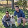 House sit pet parent - Great Boston Apartment and Even Better Boston Lab!
