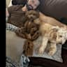 House sit pet parent - Downtown Nashville Townhome in Wedgewood-Houston Neighborhood