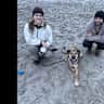 House sit pet parent - Hampton Beach Stay with Po and Adele!