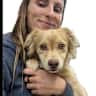 House sit pet parent - Adorable pup + forested getaway + weekend snuggles