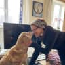 House sit pet parent - Winter holiday sit in amazing Totnes, Devon