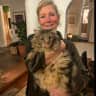 House sit pet parent - Quik sit in Santa Fe near plaza, in cozy renovated ol adobe with Maine Coon cat