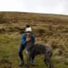House sit pet parent - Quiet farmhouse in the Glen of Imaal with great access to the Wicklow Mountains.