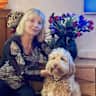 House sit pet parent - Sydney Inner city living with two beautiful fur babies