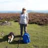 House sit pet parent - Comfortable bungalow in the Brecon Beacons with a 12 year old collie