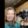 House sit pet parent - 13 days in a beautiful townhome in NE Portland with two mini schnauzers