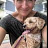 House sit pet parent - Much loved family dog needs people friends..