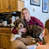 House sit pet parent - Cozy Mountain Stay with an Adorable Companion in Breckenridge, CO