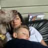 House sit pet parent - House Sitting with Luna the Weimaraner