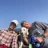 House sit pet parent - Heathy dog in private golf community