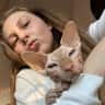 House sit pet parent - Artsy Las Vegas 2-bed apartment with a sweet hairless cat!