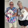 House sit pet parent - The girls need tender loving care while we are away.