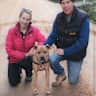 House sit pet parent - Ocean Retreat in Anglesea: beach walks, bush trails, garden & dog cuddles.